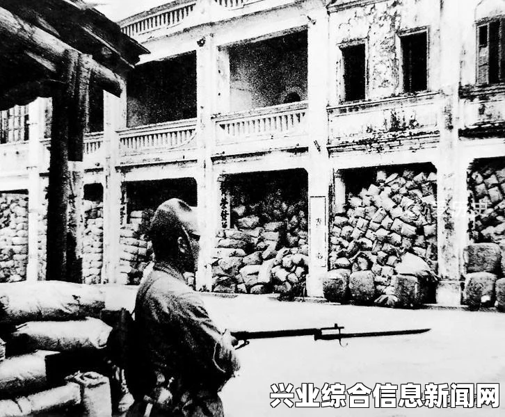 挑战最难电脑攻略，深度解析侵略行为游戏攻略秘籍