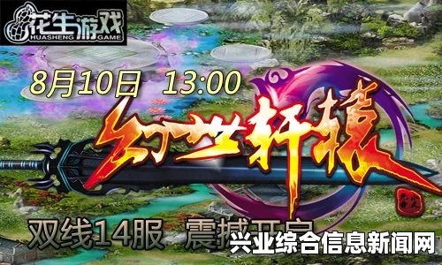 游戏世界深度探索，揭开背景故事神秘面纱