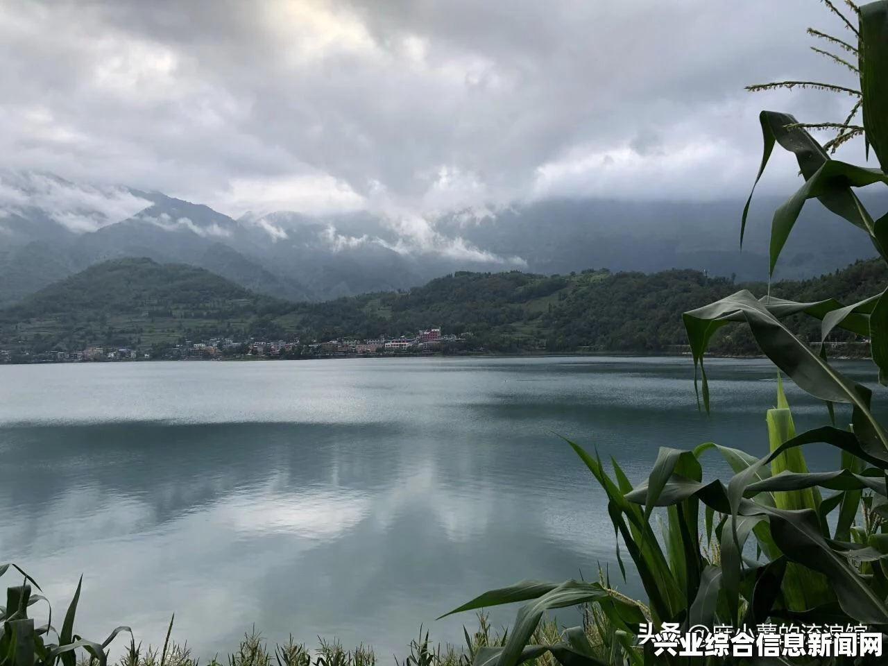 大皇帝，冷门武将的弱点和改进方向心得