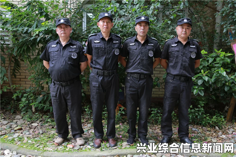揭秘安全卫队，定义、功能与重要性简介