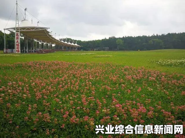 留住静静，情感维系与长久陪伴之道