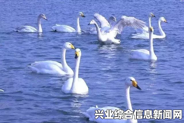 留住静静的方法