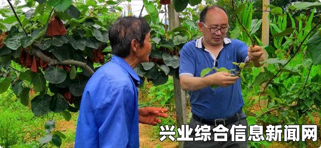 上古卷轴5，真实电影向—来自中土的精灵法师