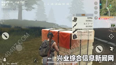 空投物资，全面解析与概述