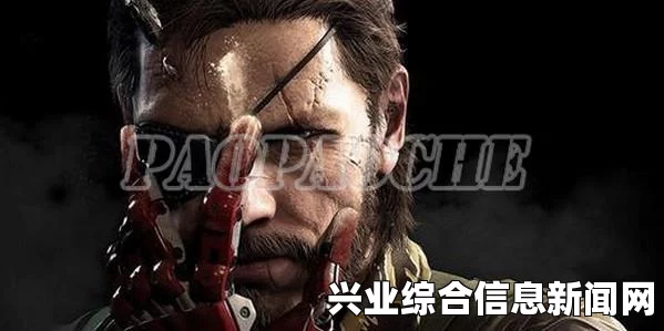 合金装备5幻痛DLL文件丢失解决方案探讨