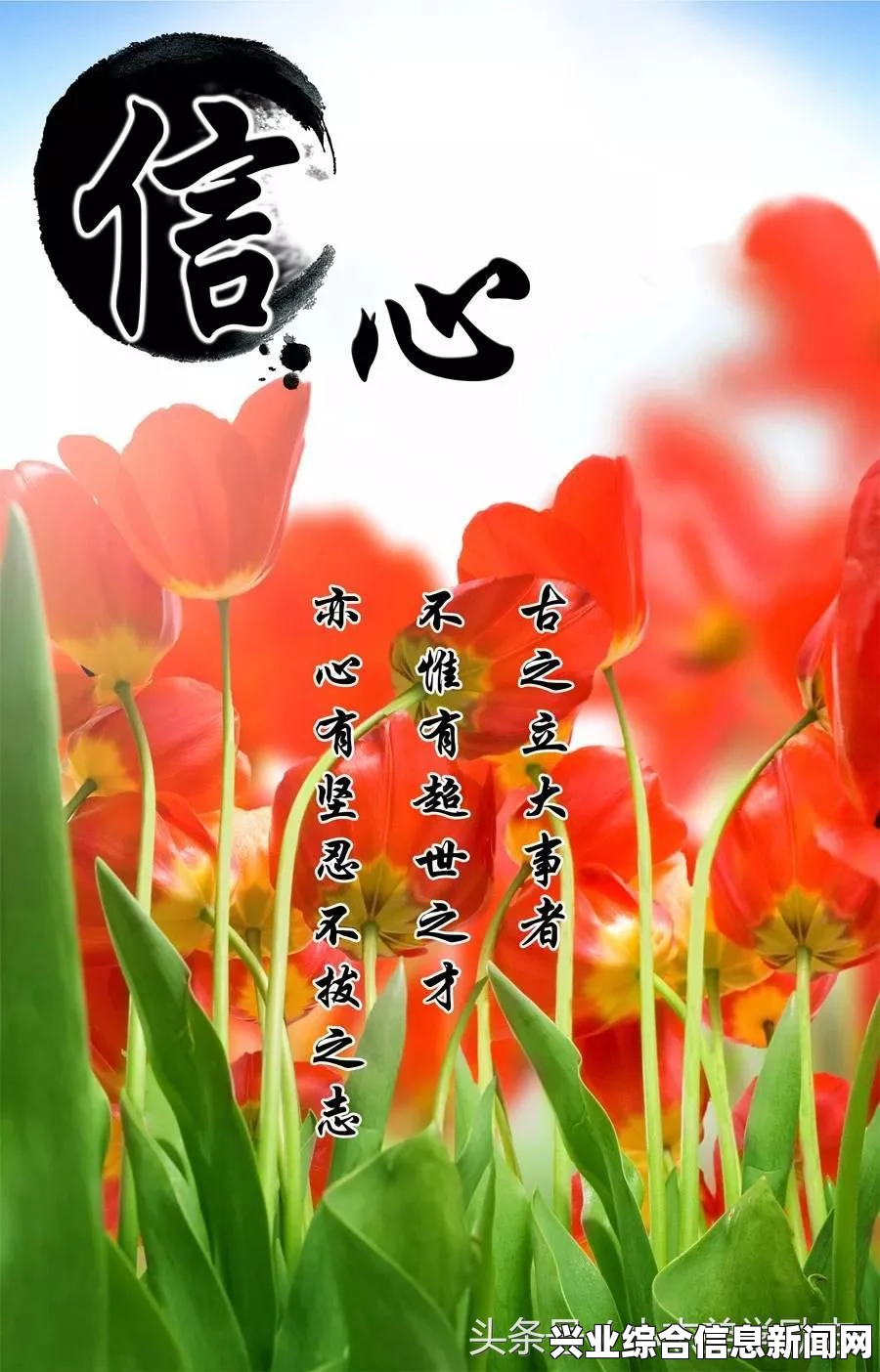 静静的特殊任务