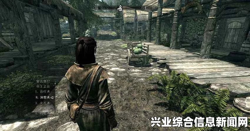 上古卷轴5，第三届龙裔参赛作品—睡衣法师袍熟女