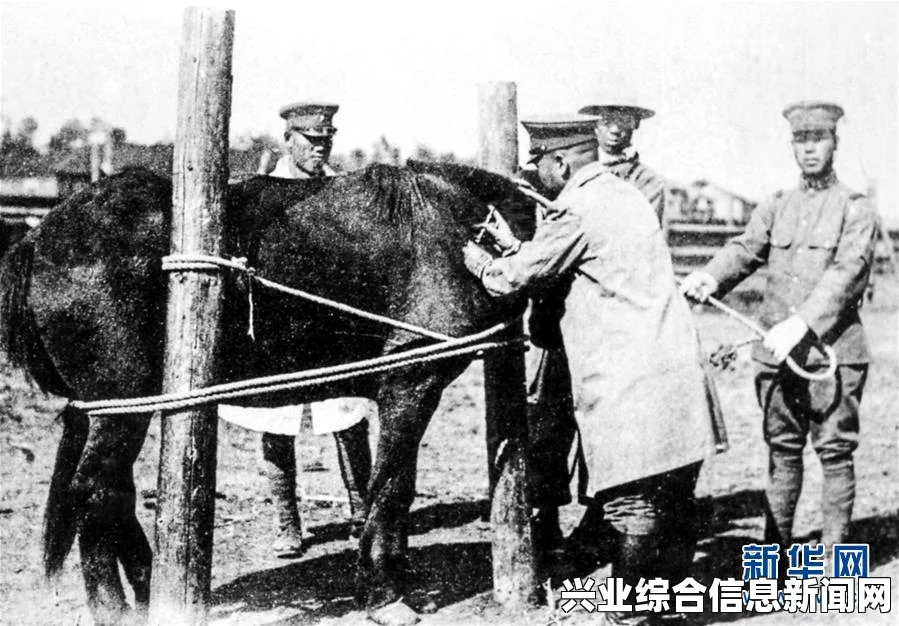 美军兵种与建筑单位详解，侵略行为探讨及其背景分析