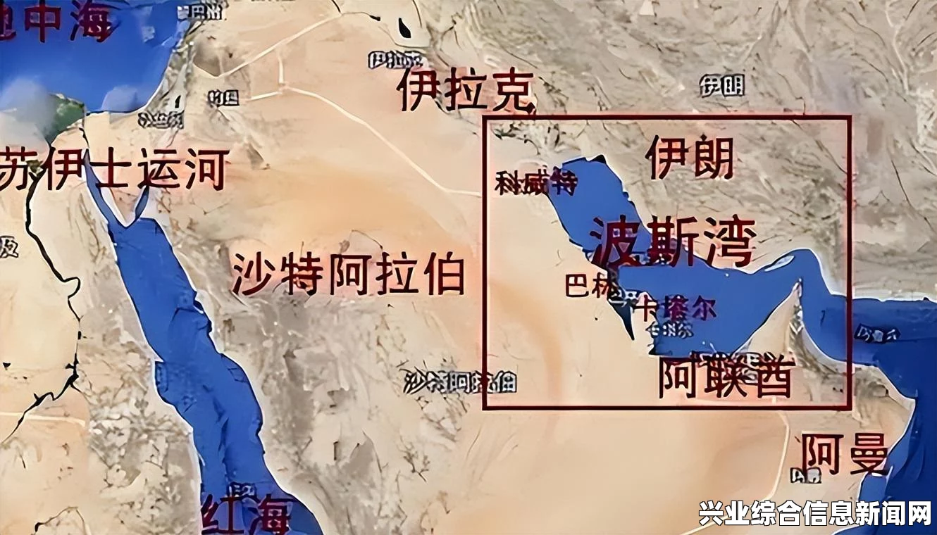 新手入门指南，侵略行为的视频教程与实战玩法探讨