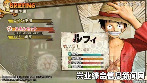 海贼无双3 PC版窗口化与分辨率调整指南，全屏设置详解