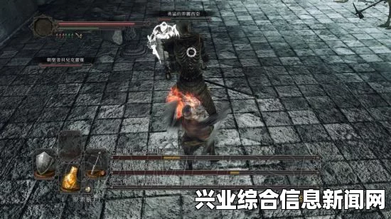 黑暗之魂2原罪学者，棍棒对决黑暗潜伏者攻略与实战解析视频