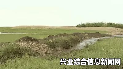 饥荒动物养殖图文攻略及心得分享