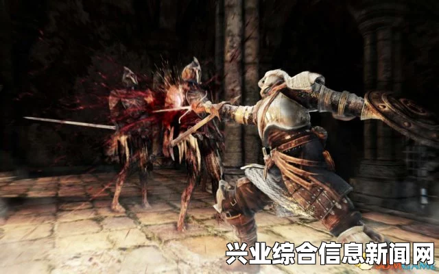 黑暗之魂2原罪学者DLC钢铁之王的王冠高抗诅咒拿法