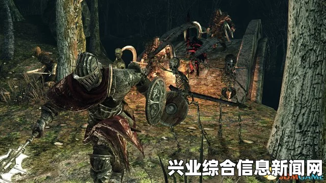 黑暗之魂2原罪学者DLC钢铁之王的王冠高抗诅咒拿法