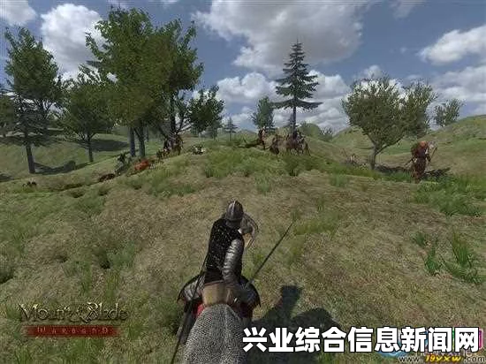 骑马与砍杀战团维京征服，终身创伤解析及解决办法