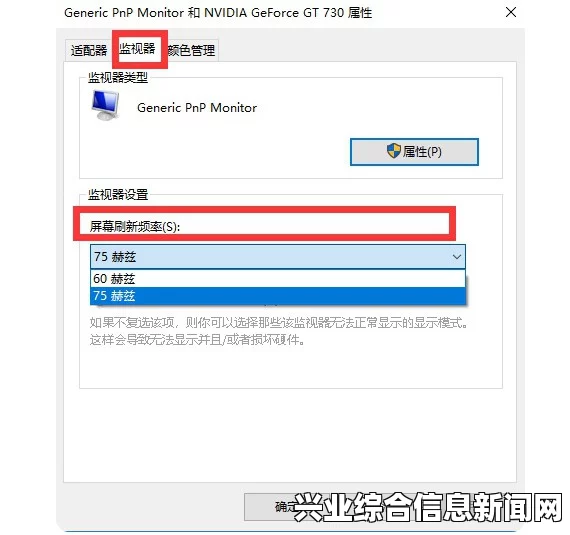 僵尸游戏PC版汉化后黑屏问题解决方案及常见问题指南