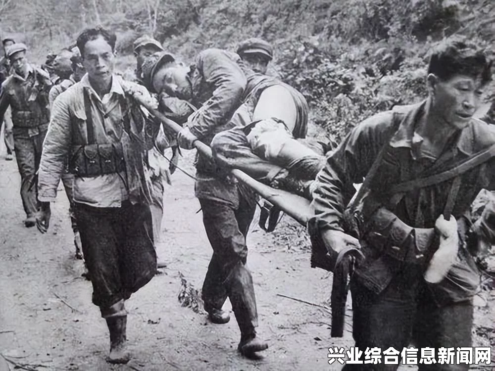 海贼无双3 参战人物大全