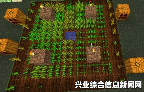 我的世界南瓜种植攻略，全方位解析南瓜种植方法与技巧