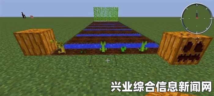我的世界南瓜种植方法攻略，南瓜种植全解析