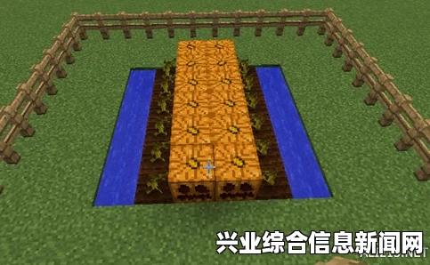 我的世界南瓜种植方法攻略，南瓜种植全解析