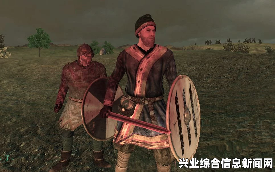骑马与砍杀战团维京征服，奴隶市场的作用分析分享