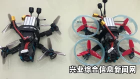 骨龙动作深度观察研究