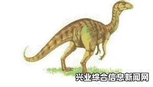 观察骨龙动作