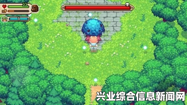 进化之地2存档位置详解与概述