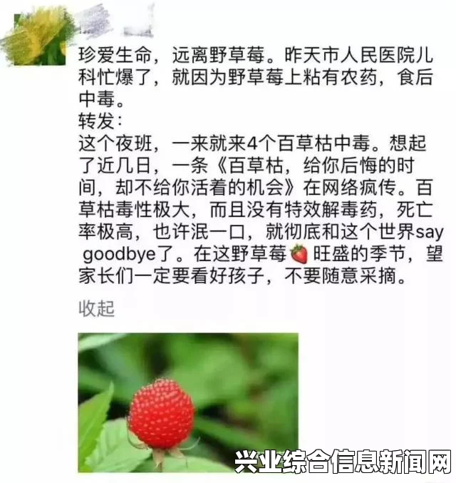 野草莓的基本信息