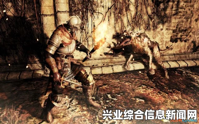 黑暗之魂2原罪学者DLC全BOSS打法解说视频攻略分享