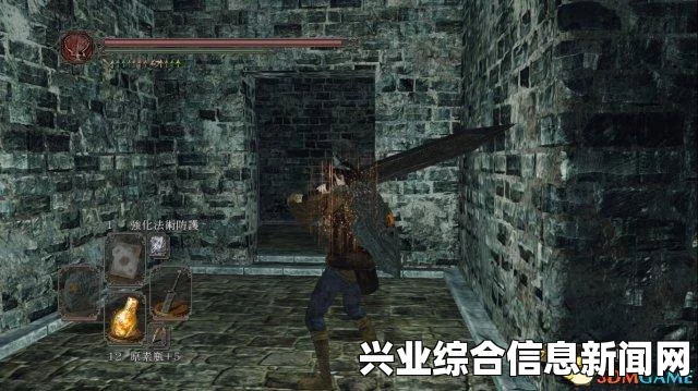 黑暗之魂2原罪学者概述