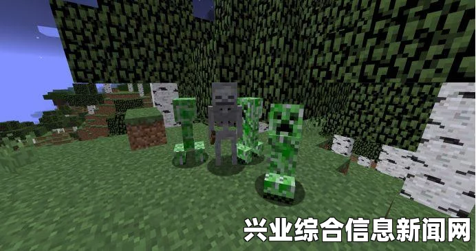 我的世界