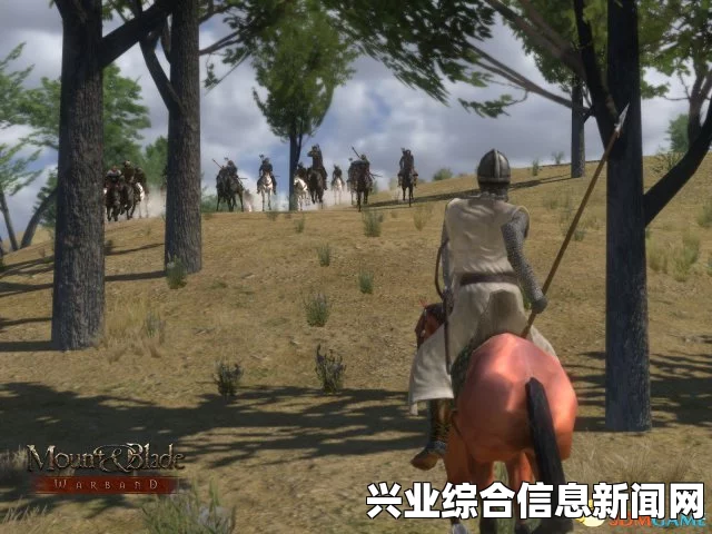 骑马与砍杀战团维京征服重铸版，不升级的优势与策略解析
