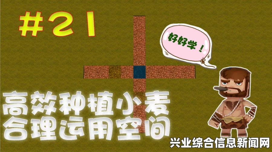 我的世界，快速种植小麦方法指南