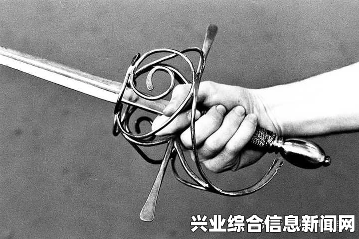 里卡尔刺剑，深入解析与探索