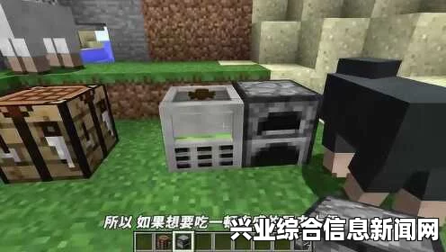 我的世界可食用虫子MOD，探索生存的新篇章