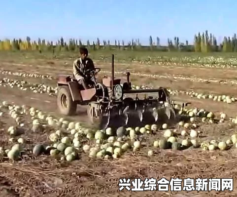 我的世界全自动西瓜收割机制作指南