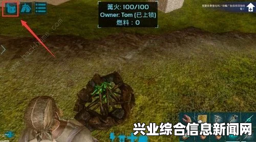 方舟生存进化，饥饿游戏模式深度攻略与心得分享