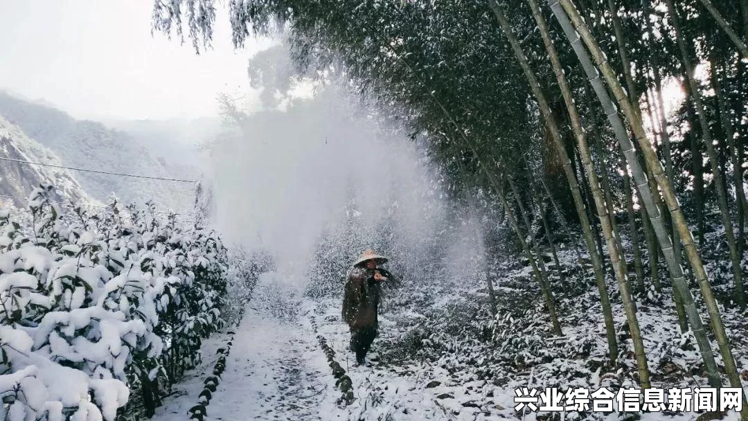 侠客风云传棍法获得时间及完美通关攻略