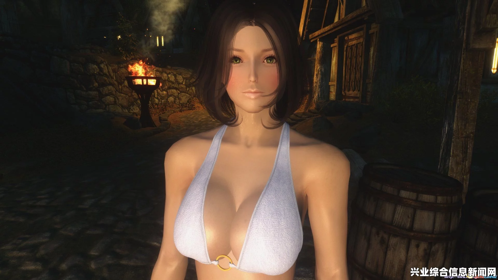 上古卷轴5，独立随从之巨乳呆萌隐藏下的强大Katlna