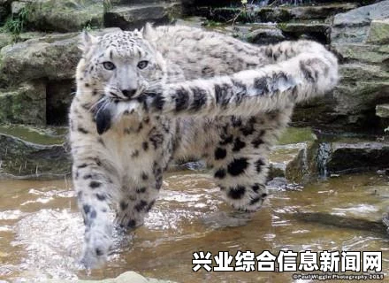 侠客风云传 无限刷属性BUG使用方法 刷出高富帅