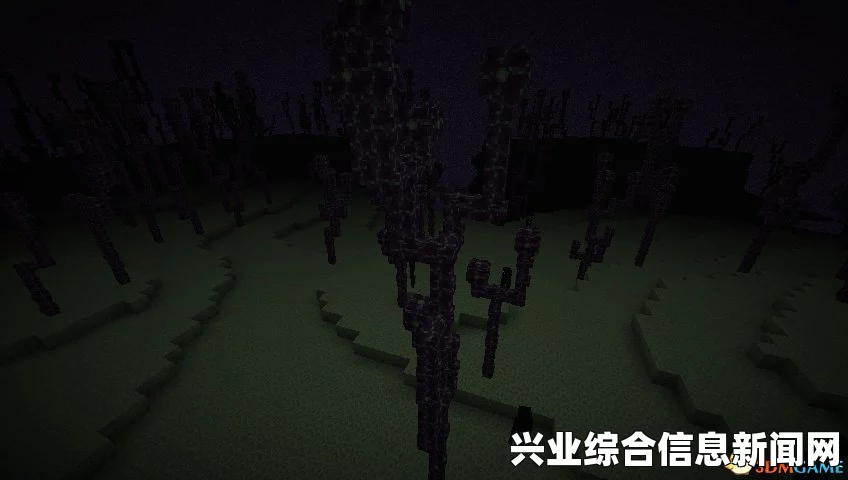 我的世界 1.9版本末影之地变化解析