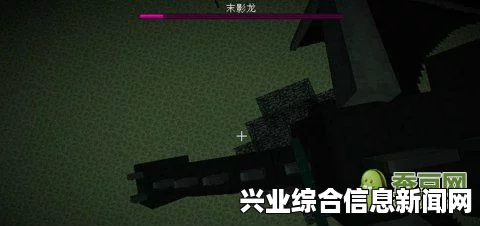 我的世界 1.9版本末影之地变化解析