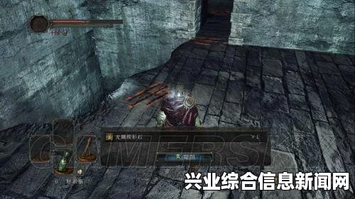 黑暗之魂2原罪学者中无敌帧数与迅速与翻滚的关系深度解析