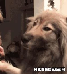 侠客风云传特殊商品购买方法与虐单身狗现象的思考