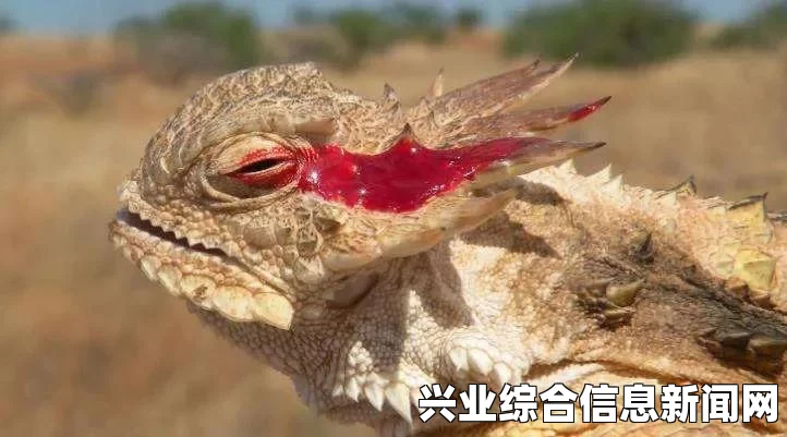 揭秘我的世界命令让动物喷血的方法技巧