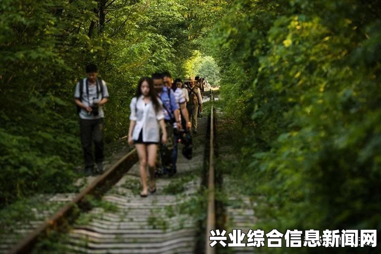 支线任务一，废弃医院背后的神秘面纱