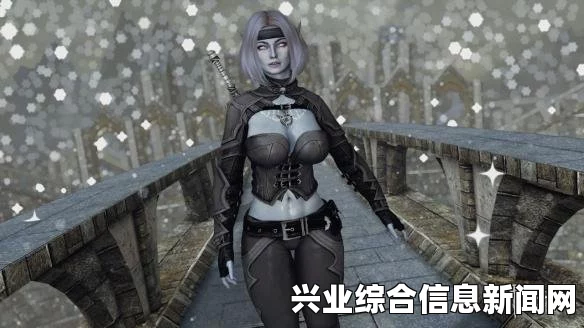 上古卷轴5，日网 圣痕之秘的女刺客护甲传奇