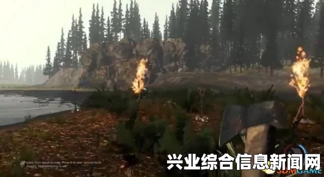 森林巫毒人偶做法及作用一览，巫毒人偶的神奇用途