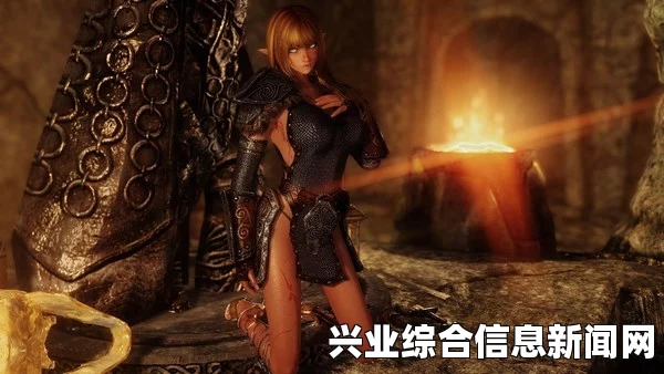上古卷轴5，服装MOD之性感V领黑白配战斗服详解
